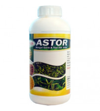 Astor 1 Litre